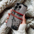 Coque iPhone Dollar Benjamin Franklin